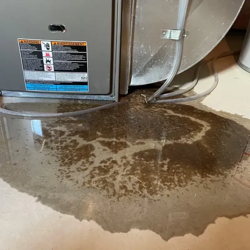 Appliance Leak Cleanup in Christian County, KY